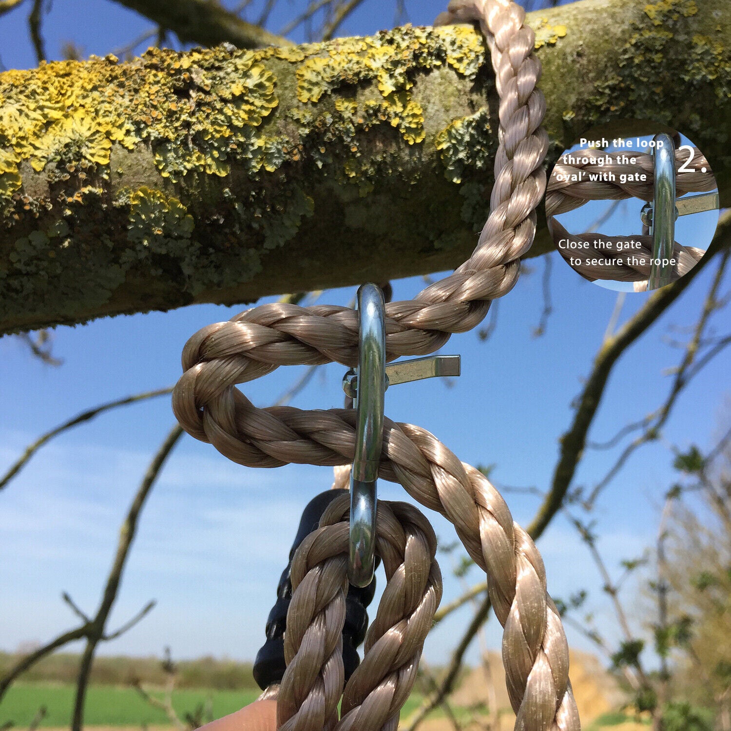 Garden Games Tree Swing Traditional Wooden Seat Adjustable Weatherproof Ropes