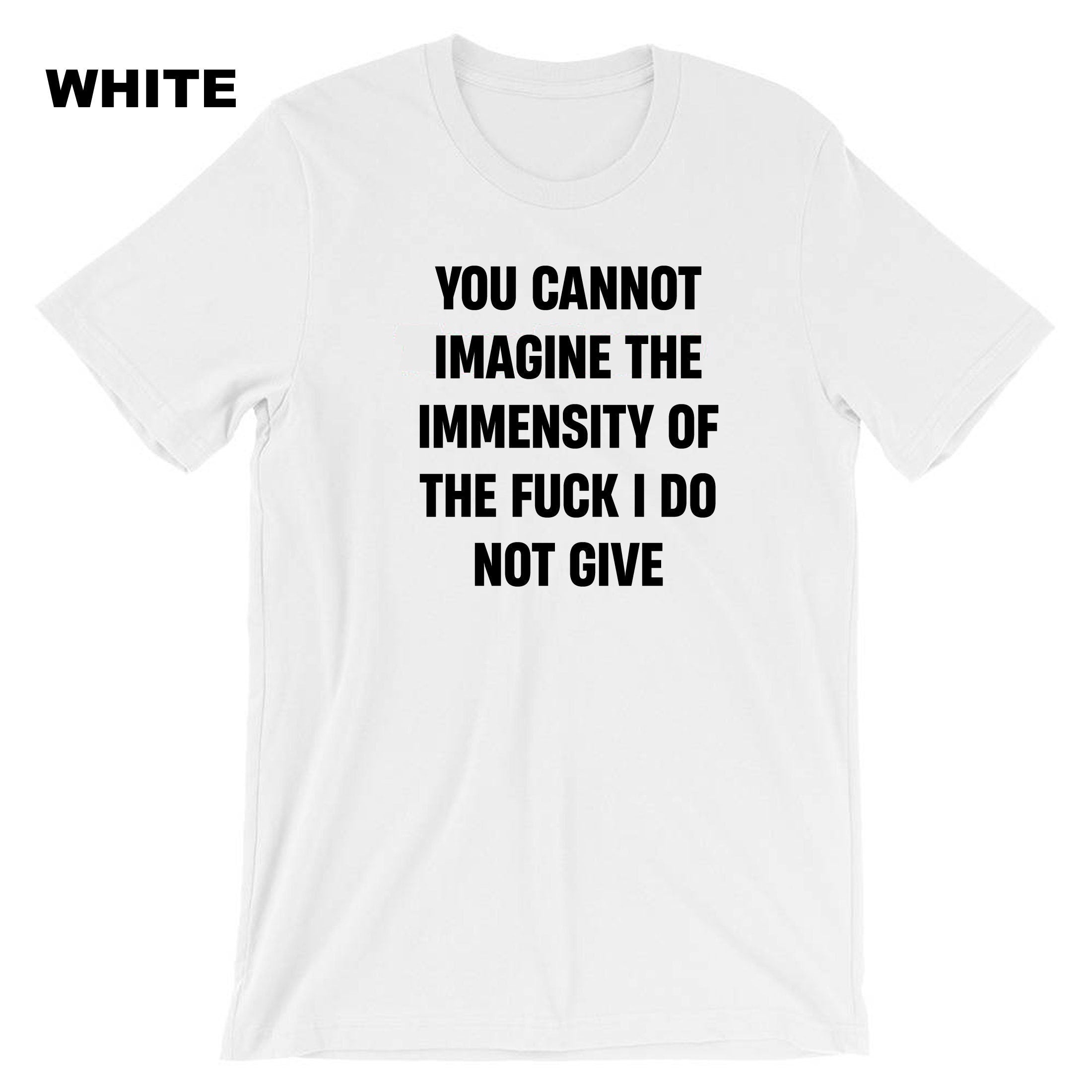 You cannot imagine the immensity of the F**K i do not give T-shirt Tshirt T shirt Tee Shirt Joke Humor Sarcastic Unisex Gift Birthday Xmas