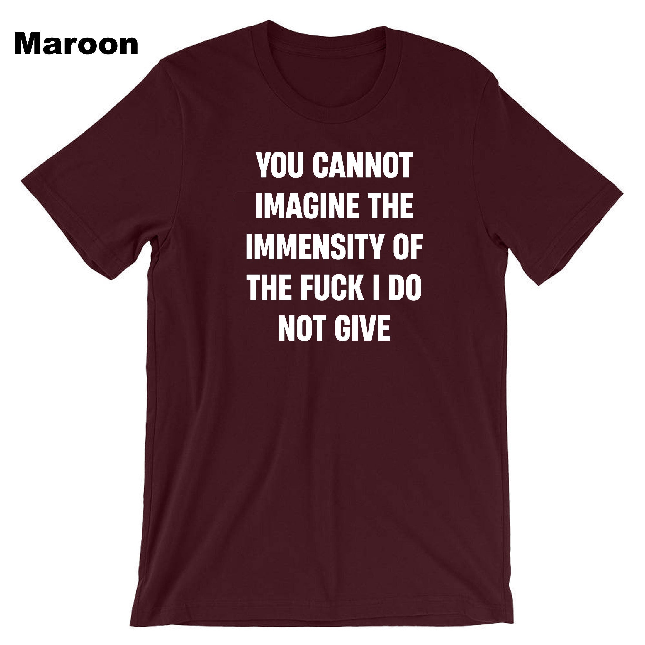 You cannot imagine the immensity of the F**K i do not give T-shirt Tshirt T shirt Tee Shirt Joke Humor Sarcastic Unisex Gift Birthday Xmas