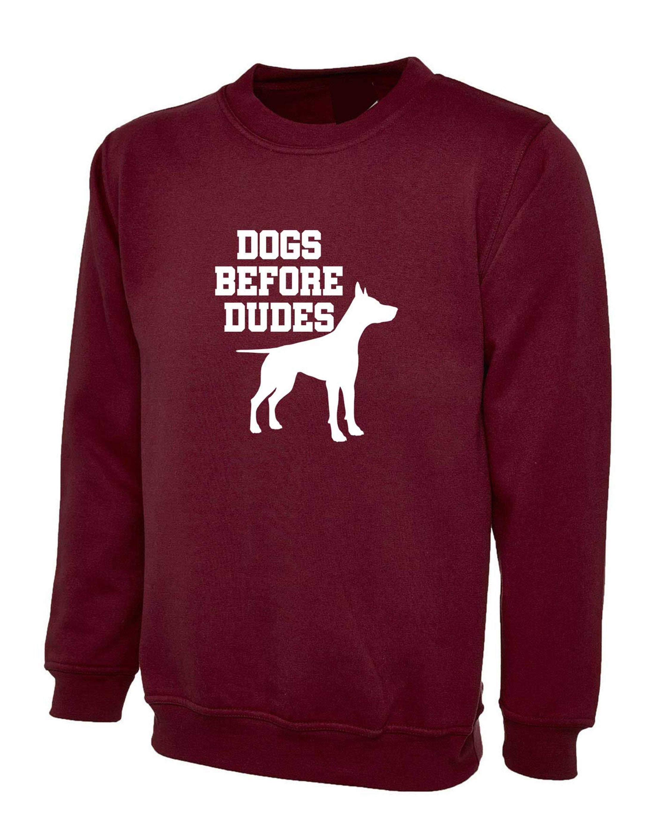 Dogs before dudes funny womens ladies dog lovers sweatshirt jumper sweater shirt gift for anti dude rude sarcastic top valentines