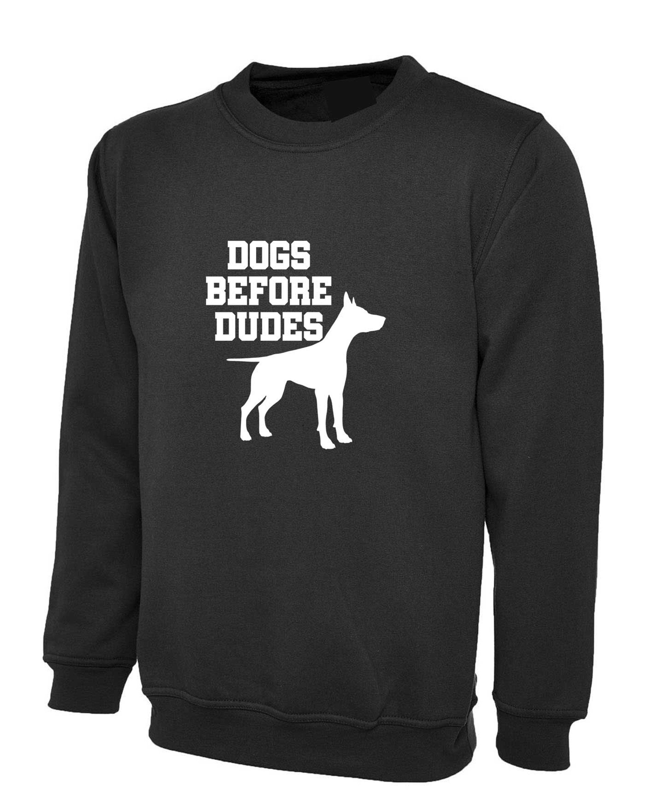 Dogs before dudes funny womens ladies dog lovers sweatshirt jumper sweater shirt gift for anti dude rude sarcastic top valentines