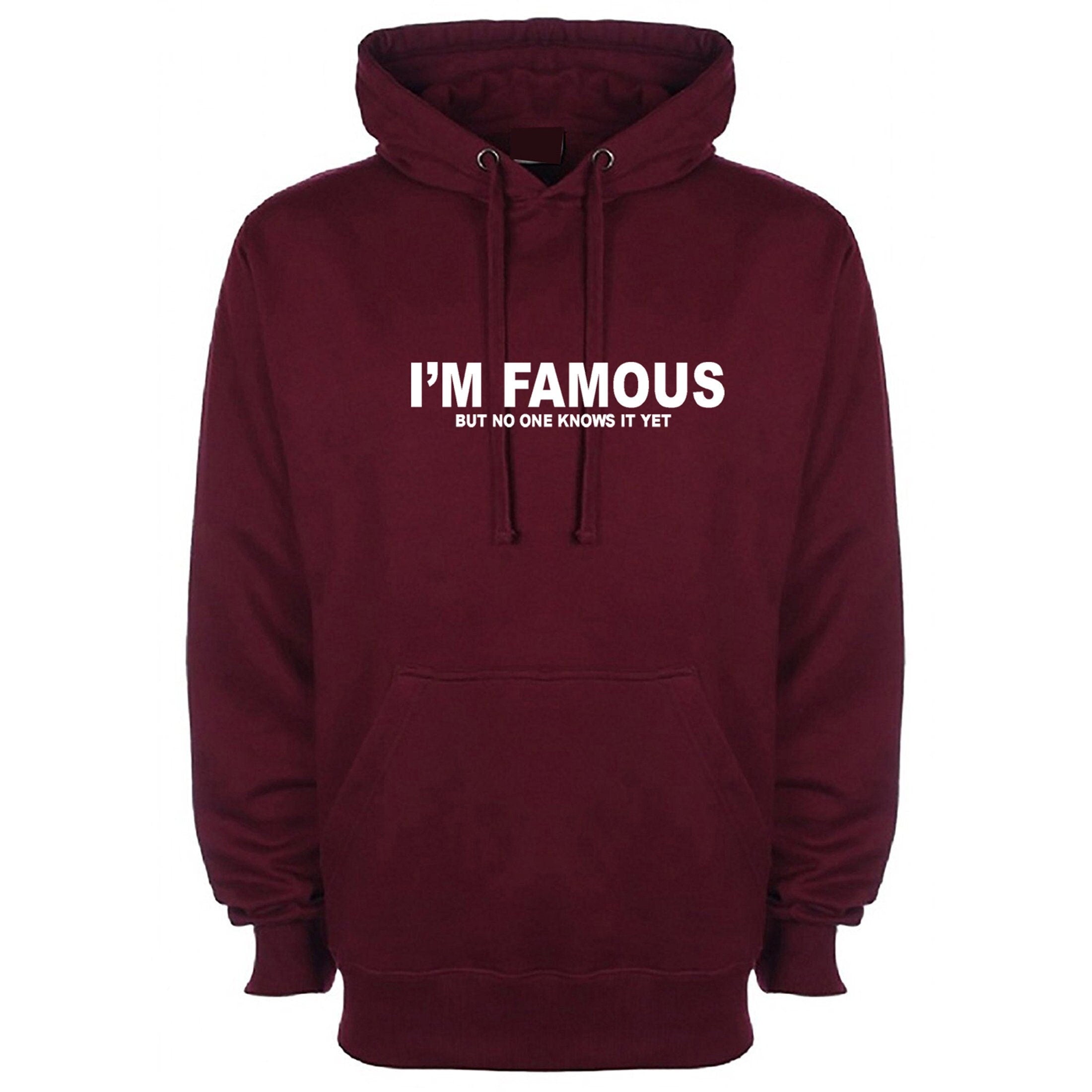 I'm famous but no one knows it yet confident cocky funny mens hoodie hoody hood hooded joke slogan srcastic