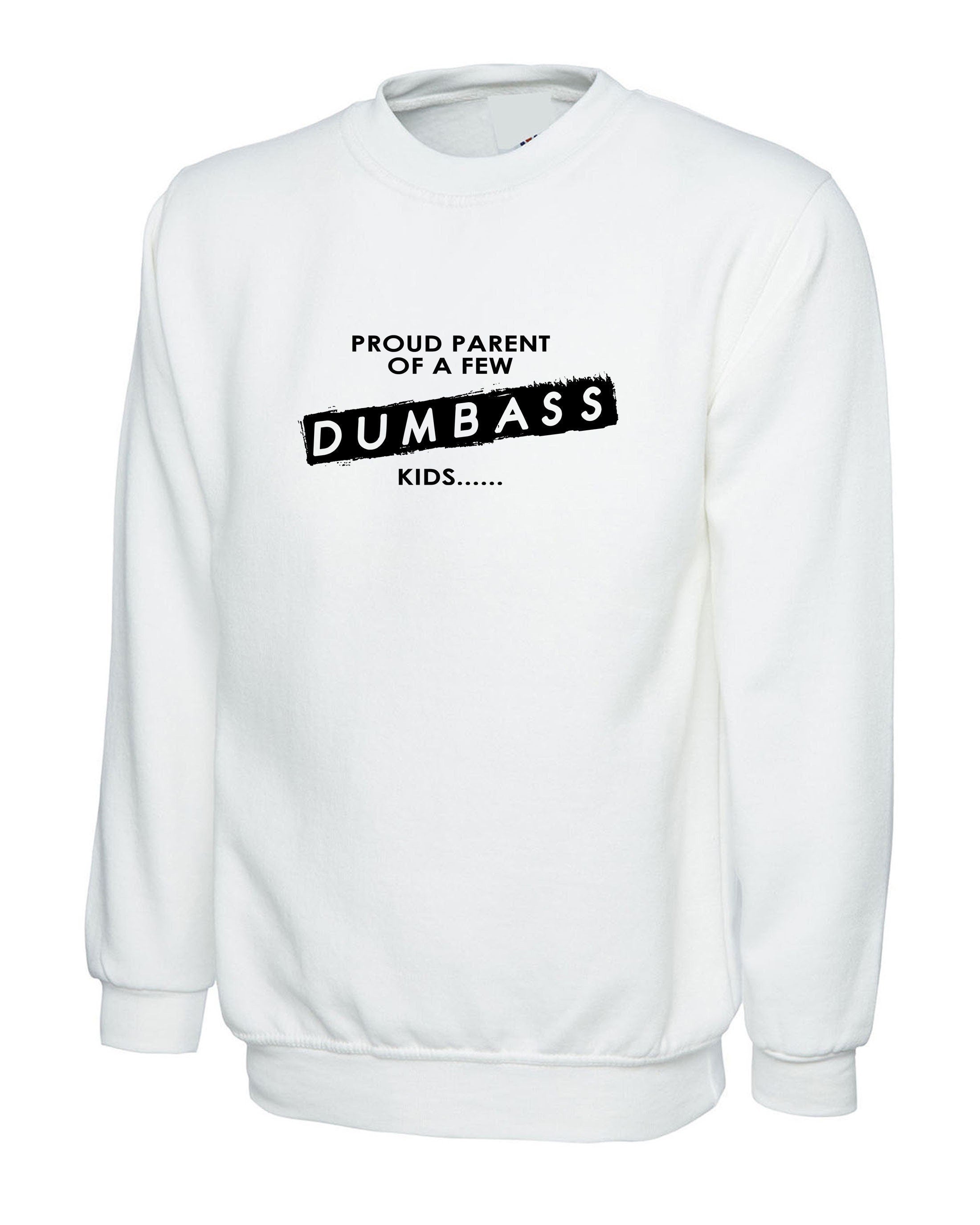 Proud parent of a few dumbass kids funny gift sweatshirt jumper sweater shirt present for parents naughty kids birthday joke unisex