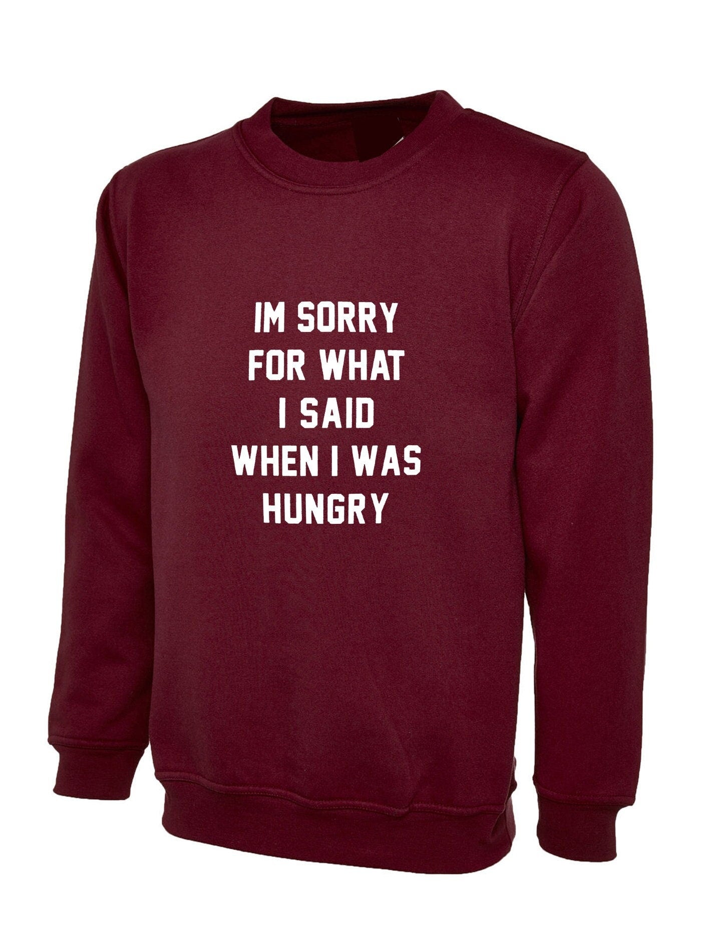 I'm sorry for what i said when i was hungry sweatshirt jumper sweater shirt food lover ladies funny womens mens unisex gift rude sarcastic