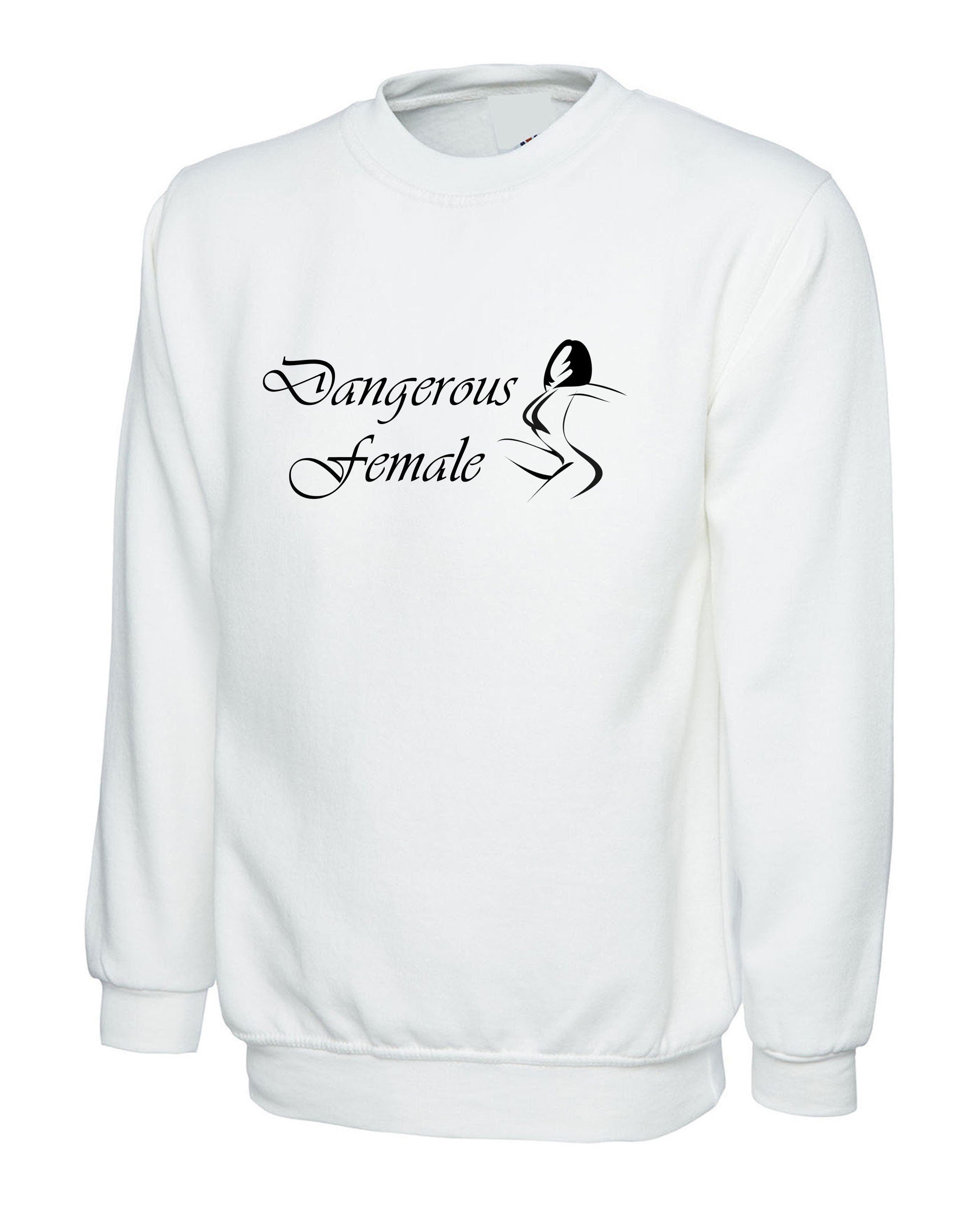 Dangerous female funny ladies sweatshirt jumper sweater shirt feminism feminist woman power gift for womens birthday christmas top