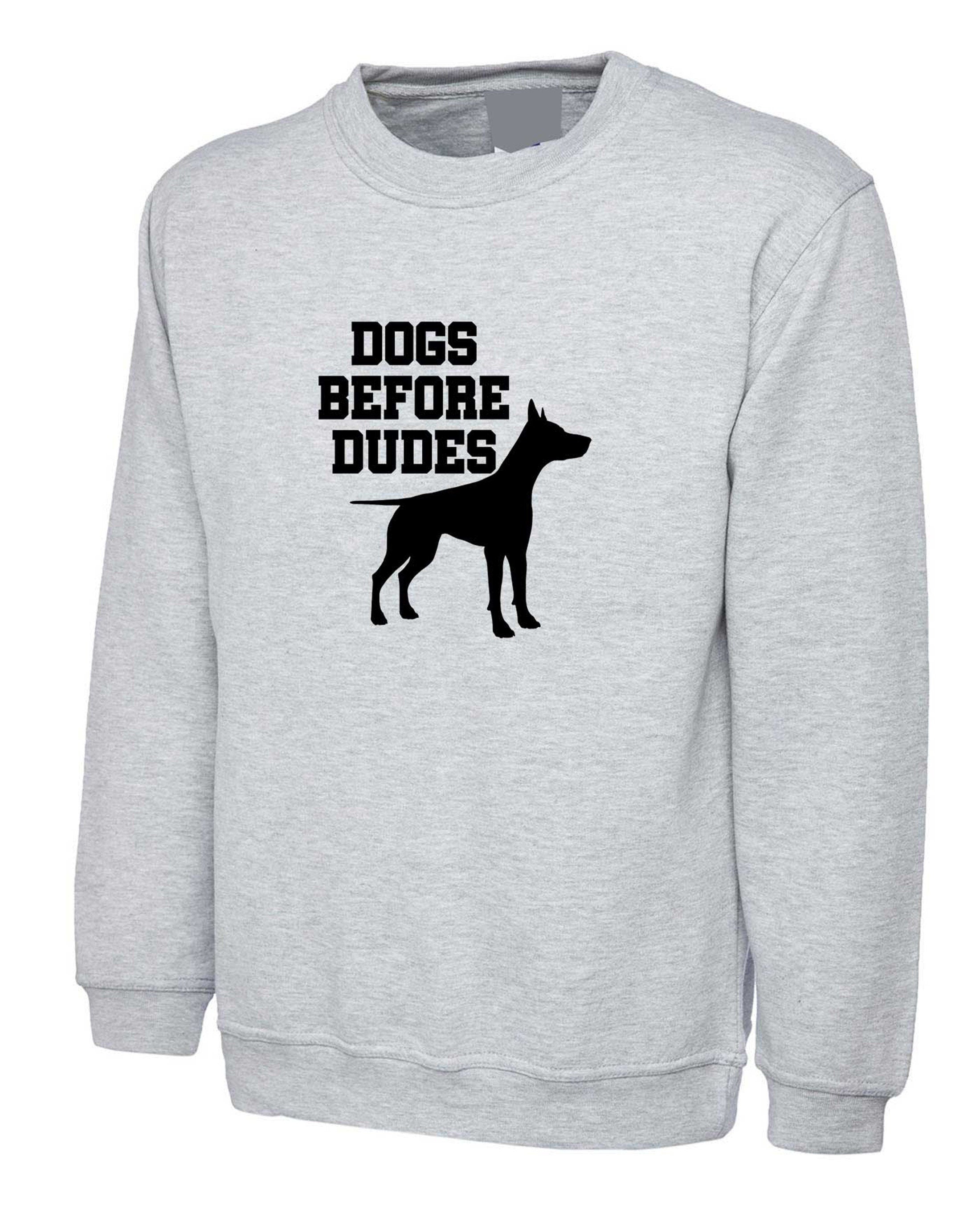 Dogs before dudes funny womens ladies dog lovers sweatshirt jumper sweater shirt gift for anti dude rude sarcastic top valentines