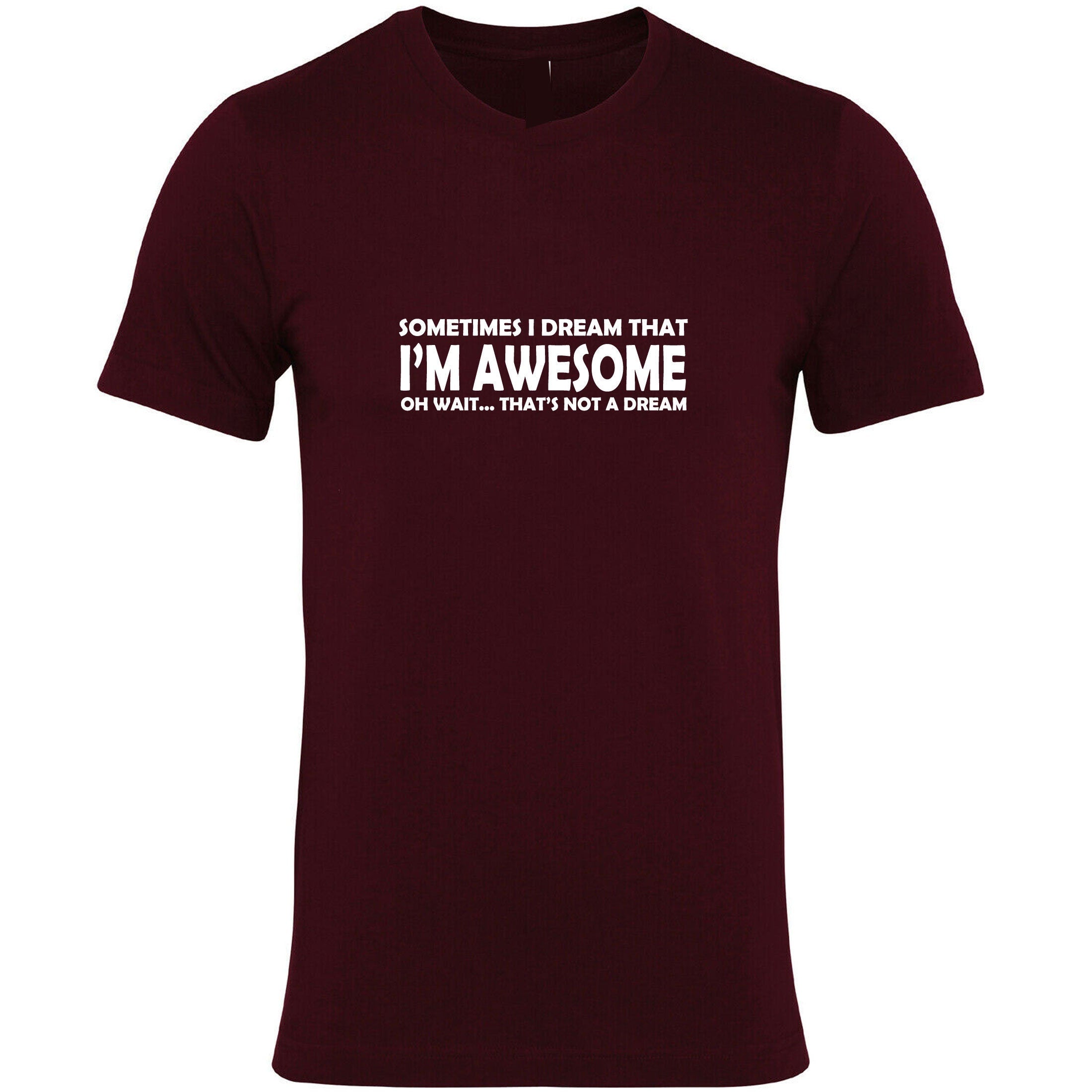 Sometimes i dream i'm awesome oh wait that's not a dream funny mens womens tshirt t shirt t-shirt tee shirt joke unisex birthday gift top