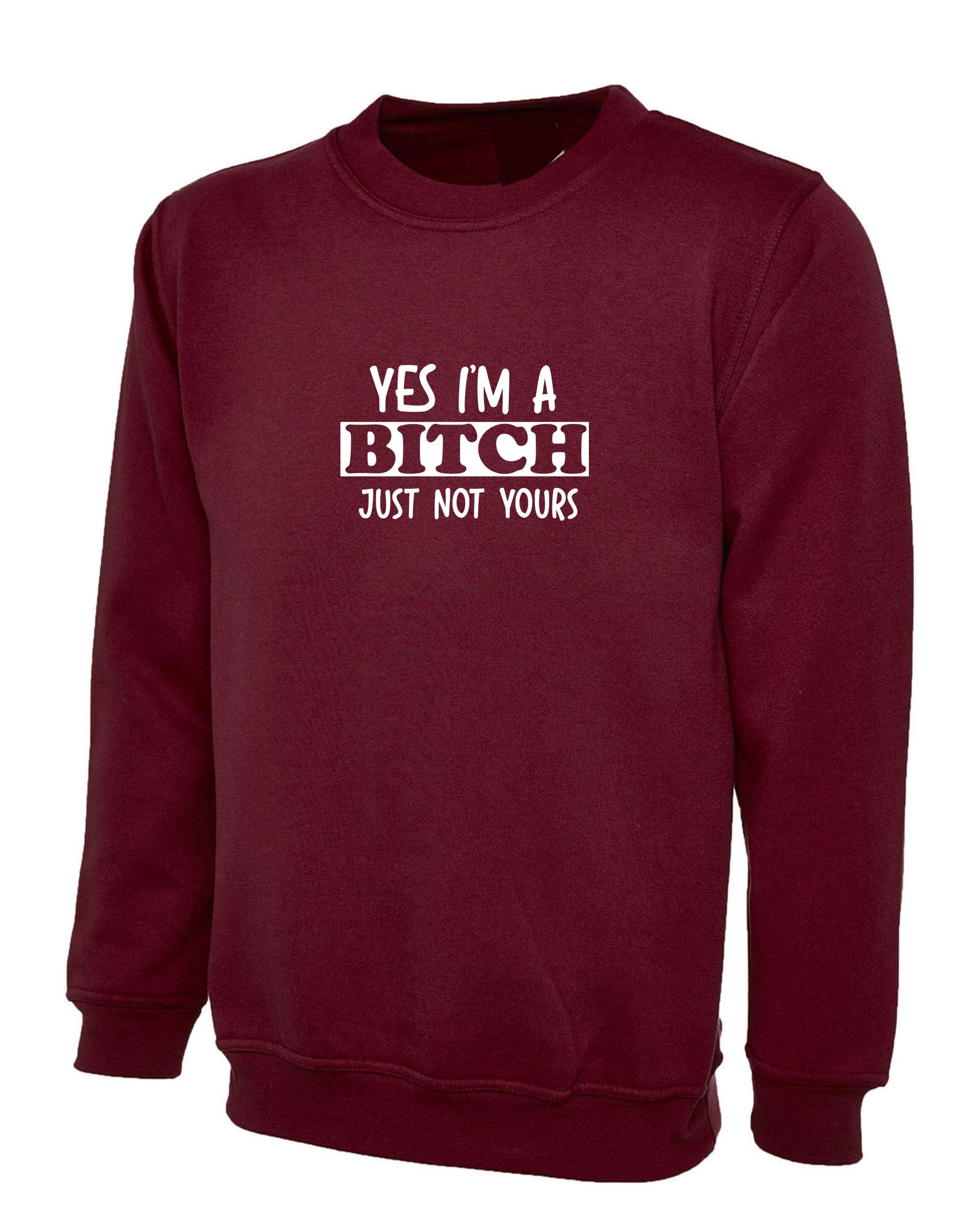 Yes i'm a bitch just not yours funny ladies sarcastic sweatshirt jumper sweater shirt rude christams present valentines