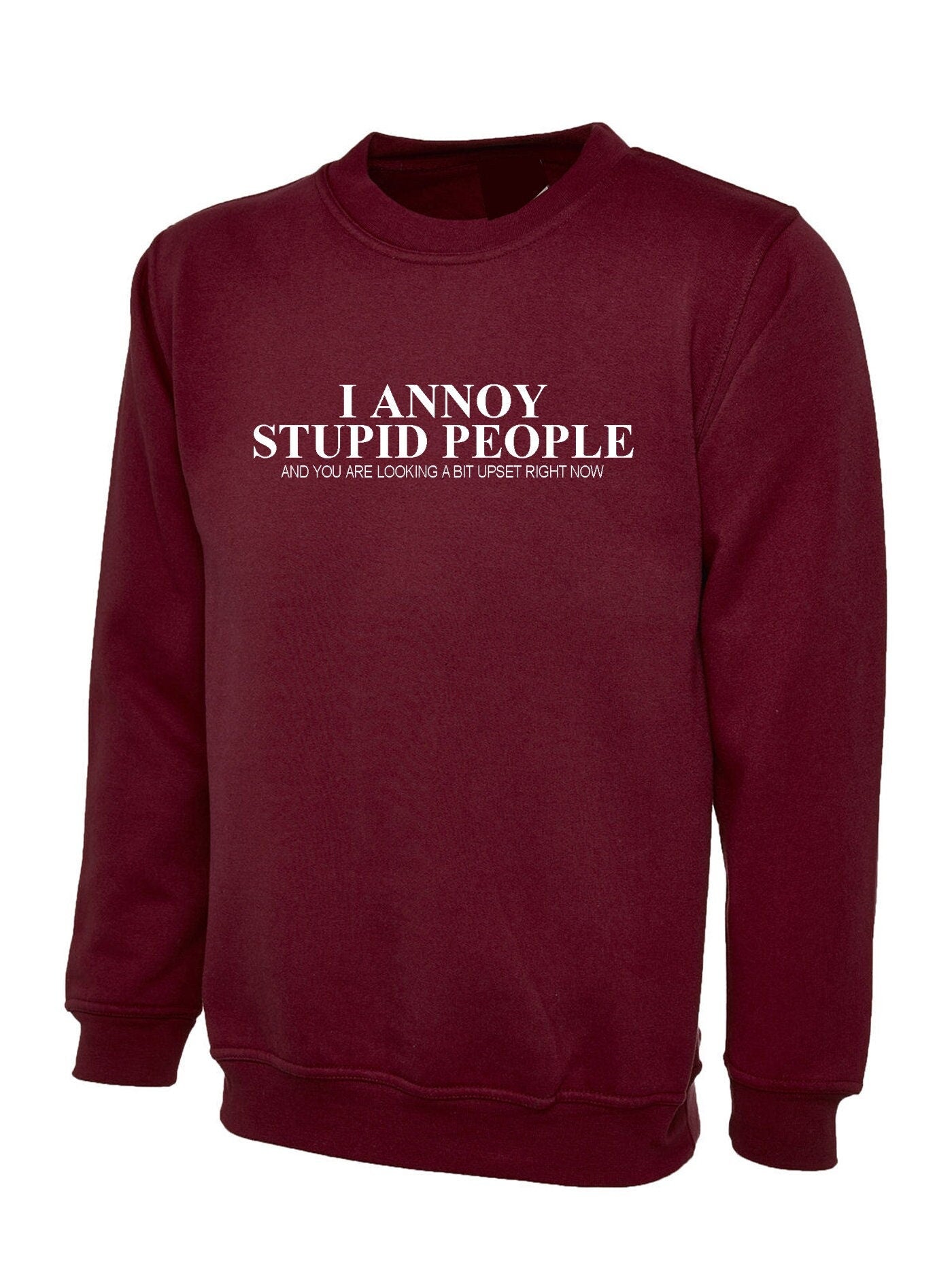 I annoy stupid people sweatshirt jumper sweater shirt you are looking a bit upset right now sarcasm funny humor prank mens ladies