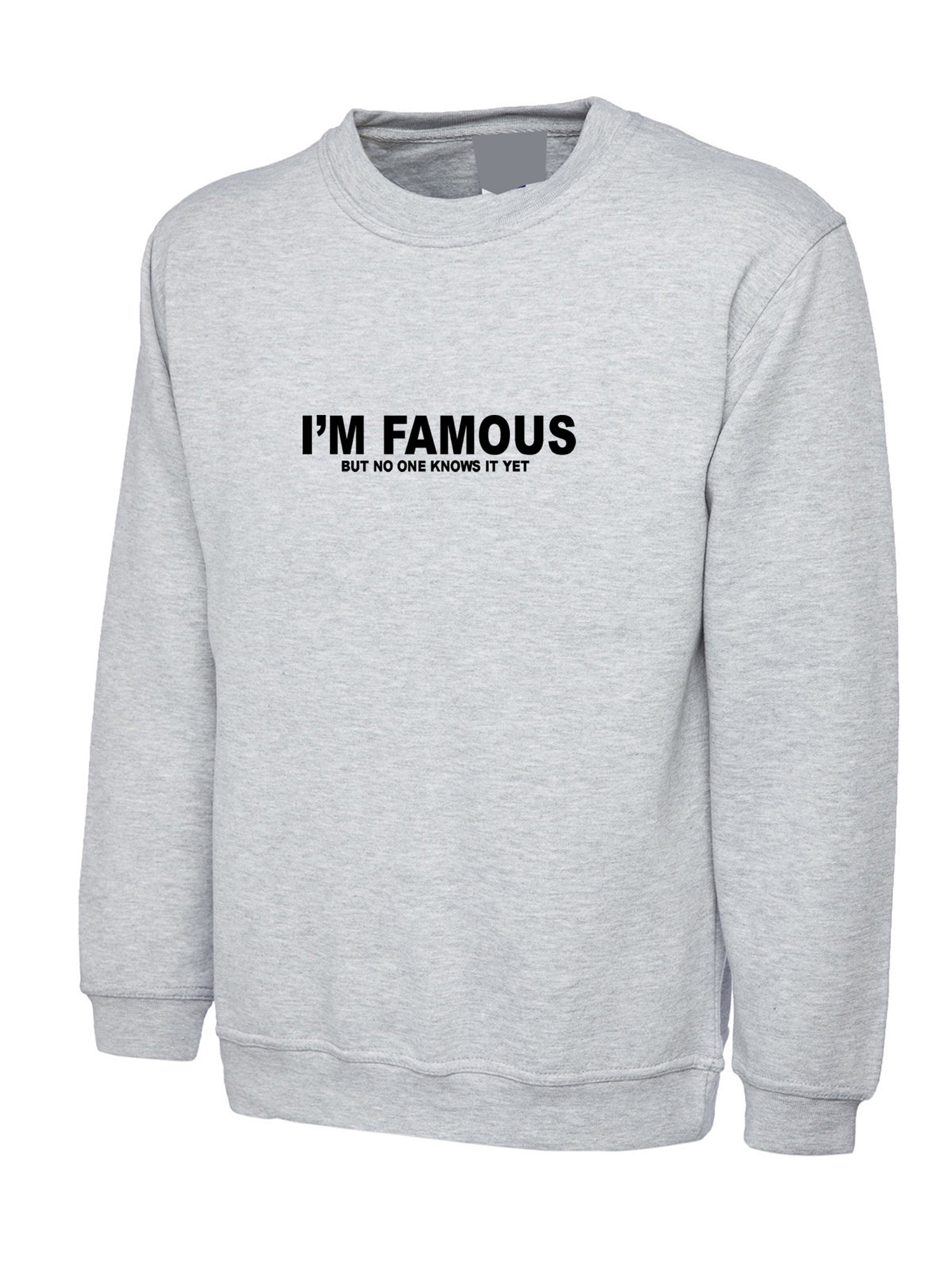 I'm famous but no one knows it yet confident cocky funny mens sweatshirt jumper sweater shirt joke slogan sarcastic